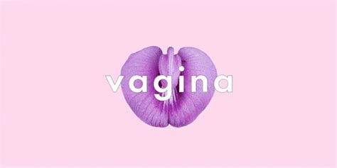 spanish slang for pussy|40 Crazy nicknames Latinos use for vagina .